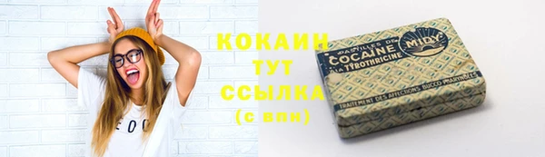 дживик Арсеньев