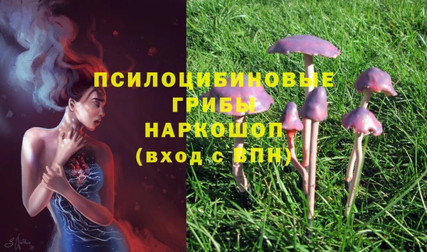 метамфетамин Аркадак
