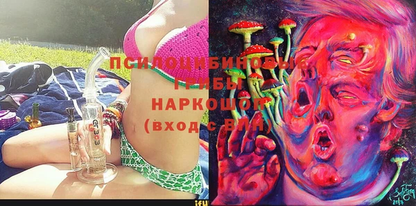 дживик Арсеньев